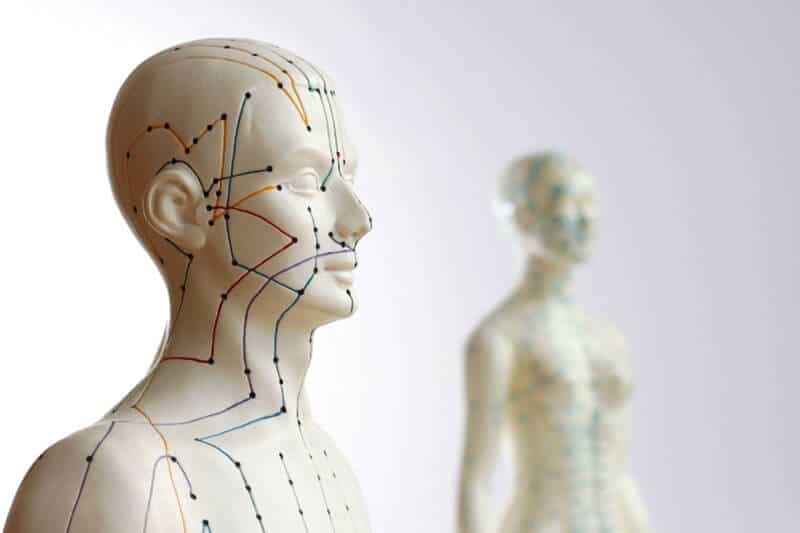 muñeco de acupuntura que sirve como guía de localización de los meridianos